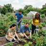 For A Greener KL! Volunteer in A Community Farm