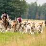 Brandenburg Hunting Society in Neuhardenberg Quappendorf