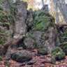 Spies Rocky Forrest Hike
