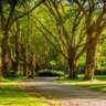 A Walk in the Park #12