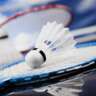 Friday Evening Badminton