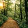 Let’s Start Hiking Again!!!