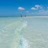 InterNations Tampa Bay Area, BEACH DAY "Sol, Sal, Mar"