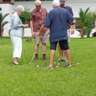 Petanque and Yummy Picnic