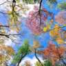 Casual Chat on Mindfulness & Spirituality