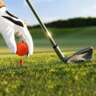 Golf Clinic IV | Putter Late Than Never!