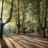 Relational Practices in the Park