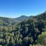 Marin Light Hike and Brunch
