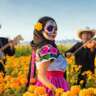 Giants Catrinas at a Magical Town