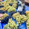 Golden October Wine Outing