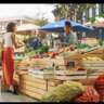 Seaport's Fish and Farmer's Market @ Boston's Fish Pier