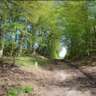 Altomünster–Erdweg Meditative Hiking Trail