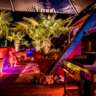 Urban Design Exhibition & Party