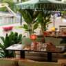 Relaxed French Fare