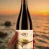Spanish Wine Tasting - Finca Bacara