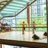 FREE Jazz Concert