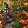 Fall Picnic & Pumpkin Patch Ladies' Day!