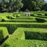 Corn Maze Visit