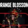 Orange Blossom Concert