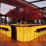 InterNations Auckland: Rooftop Networking at Aka Rooftop Bar