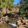 Casares Circular Hike. Vulture Restaurant