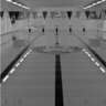 Swim to Win