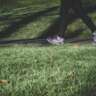 Walk to Feel Better, Talk to Feel Even Better!