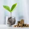  Investing in US Markets as a US and Non US Citizen: Ron Jones