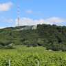 Nussdorf to Kahlenberg