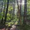 Hike to "Weisser Stein" (13km, 450m Elevation Gain)