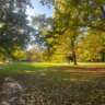Fall Brunch and Coffee
