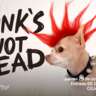 Punk Is Not Dead - Sesión De Cortometrajes - Shortfilm Session