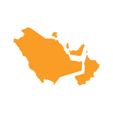 The GCC States
