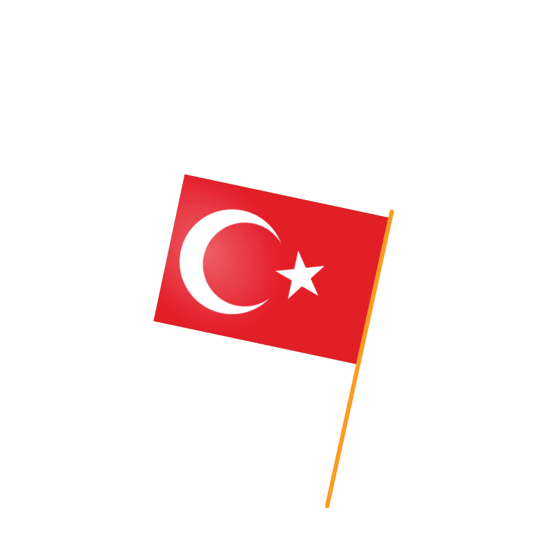 Turkish Working Abroad